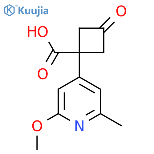 1-(2-methoxy-6-methylpyridin-4-yl)-3-oxocyclobutane-1-carboxylic acid structure
