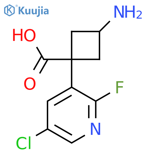 3-amino-1-(5-chloro-2-fluoropyridin-3-yl)cyclobutane-1-carboxylic acid structure