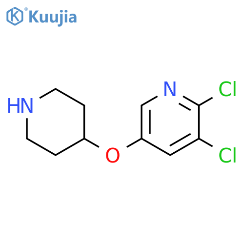 2,3-dichloro-5-(piperidin-4-yloxy)pyridine structure