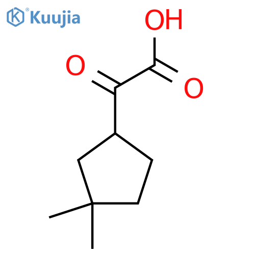 2-(3,3-dimethylcyclopentyl)-2-oxoacetic acid structure