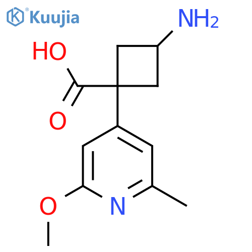 3-amino-1-(2-methoxy-6-methylpyridin-4-yl)cyclobutane-1-carboxylic acid structure