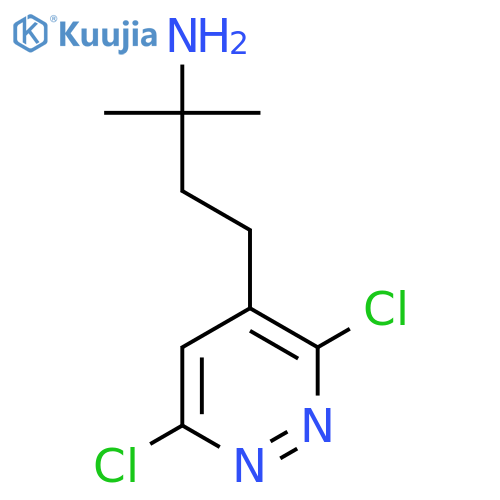 4-(3,6-dichloropyridazin-4-yl)-2-methylbutan-2-amine structure
