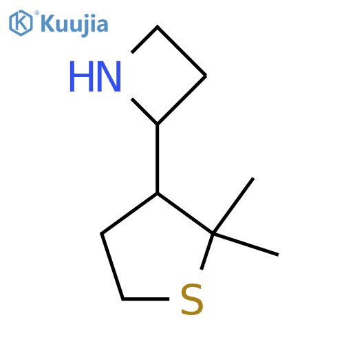 2-(2,2-dimethylthiolan-3-yl)azetidine structure