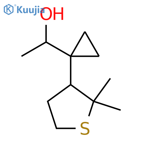 1-1-(2,2-dimethylthiolan-3-yl)cyclopropylethan-1-ol structure
