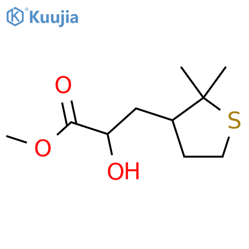 methyl 3-(2,2-dimethylthiolan-3-yl)-2-hydroxypropanoate structure