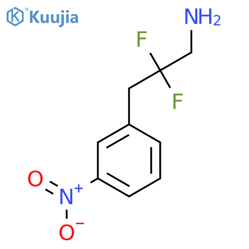 2,2-difluoro-3-(3-nitrophenyl)propan-1-amine structure