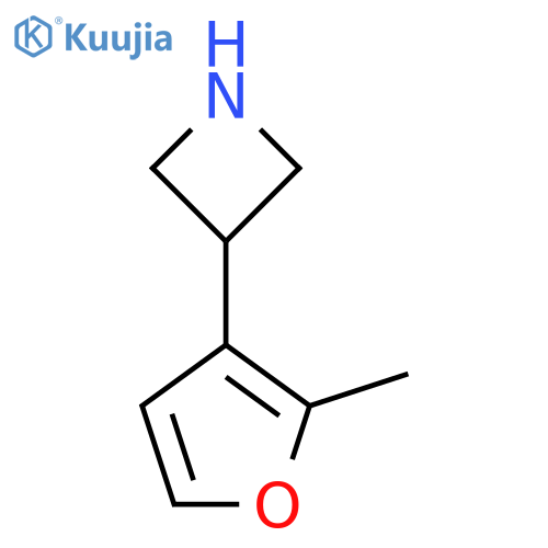 3-(2-methylfuran-3-yl)azetidine structure