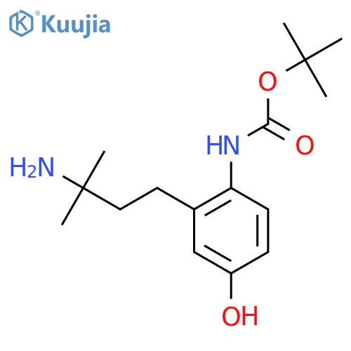 tert-butyl N-2-(3-amino-3-methylbutyl)-4-hydroxyphenylcarbamate structure