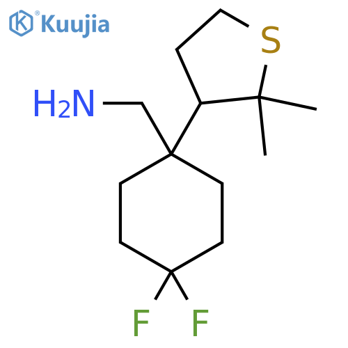 1-(2,2-dimethylthiolan-3-yl)-4,4-difluorocyclohexylmethanamine structure