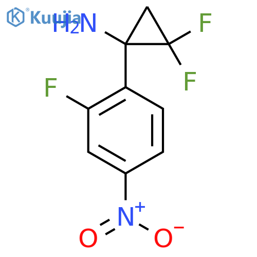 2,2-difluoro-1-(2-fluoro-4-nitrophenyl)cyclopropan-1-amine structure