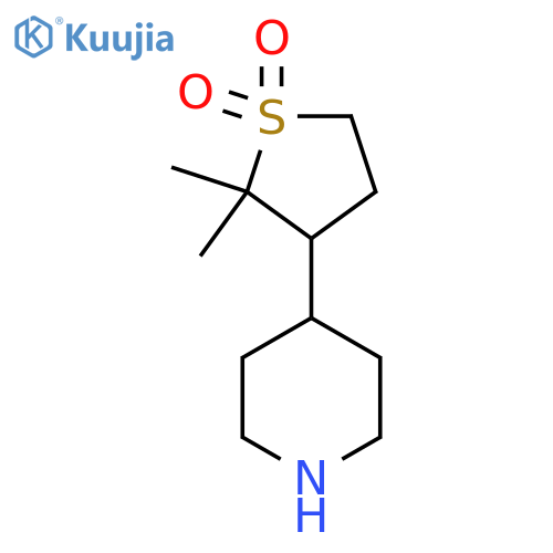 2,2-dimethyl-3-(piperidin-4-yl)-1lambda6-thiolane-1,1-dione structure