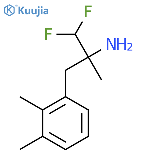 3-(2,3-dimethylphenyl)-1,1-difluoro-2-methylpropan-2-amine structure