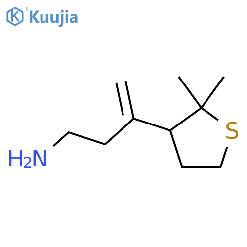 3-(2,2-dimethylthiolan-3-yl)but-3-en-1-amine structure