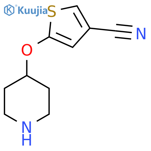 5-(piperidin-4-yloxy)thiophene-3-carbonitrile structure