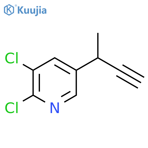 5-(but-3-yn-2-yl)-2,3-dichloropyridine structure
