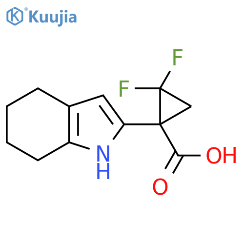 2,2-difluoro-1-(4,5,6,7-tetrahydro-1H-indol-2-yl)cyclopropane-1-carboxylic acid structure