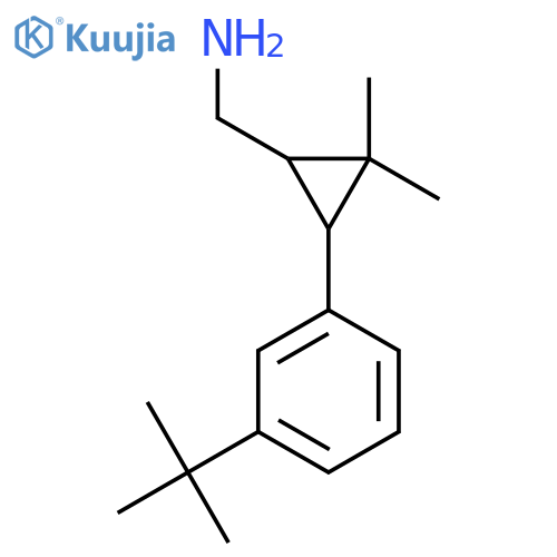3-(3-tert-butylphenyl)-2,2-dimethylcyclopropylmethanamine structure