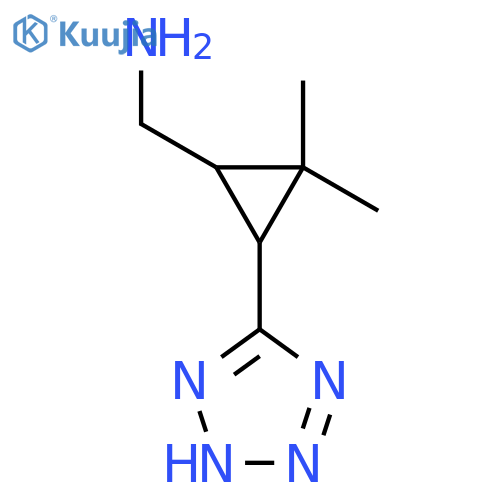 2,2-dimethyl-3-(1H-1,2,3,4-tetrazol-5-yl)cyclopropylmethanamine structure