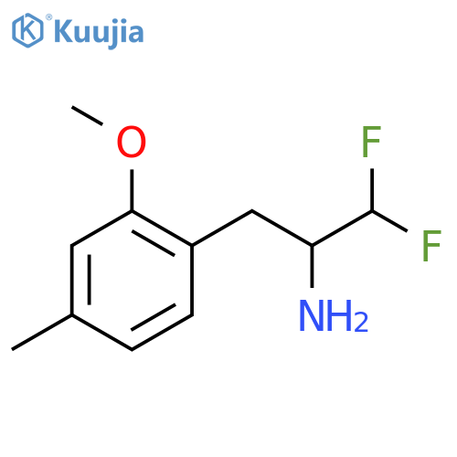 1,1-difluoro-3-(2-methoxy-4-methylphenyl)propan-2-amine structure