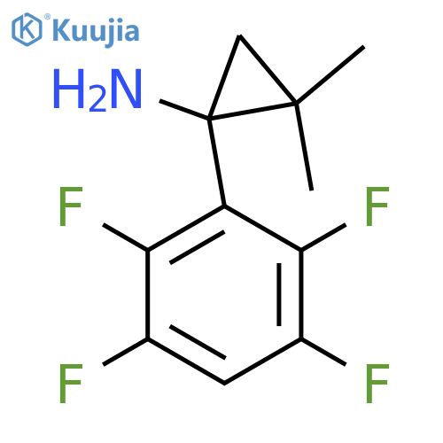 2,2-dimethyl-1-(2,3,5,6-tetrafluorophenyl)cyclopropan-1-amine structure