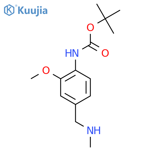 tert-butyl N-{2-methoxy-4-(methylamino)methylphenyl}carbamate structure