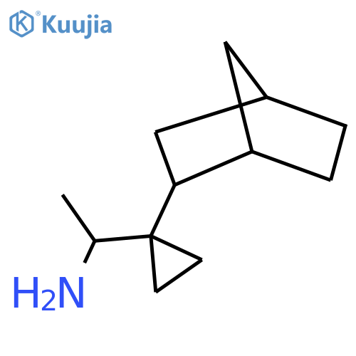 1-(1-{Bicyclo[2.2.1]heptan-2-yl}cyclopropyl)ethan-1-amine structure