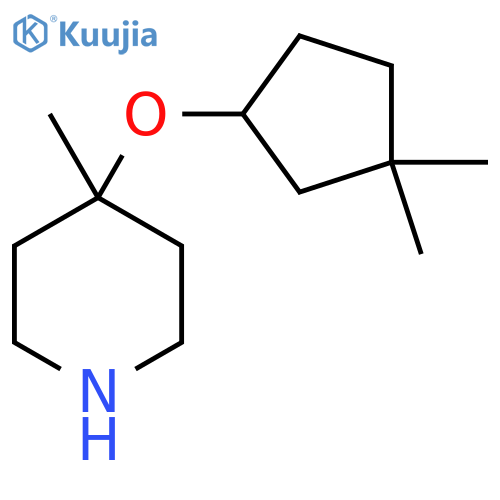 4-(3,3-dimethylcyclopentyl)oxy-4-methylpiperidine structure