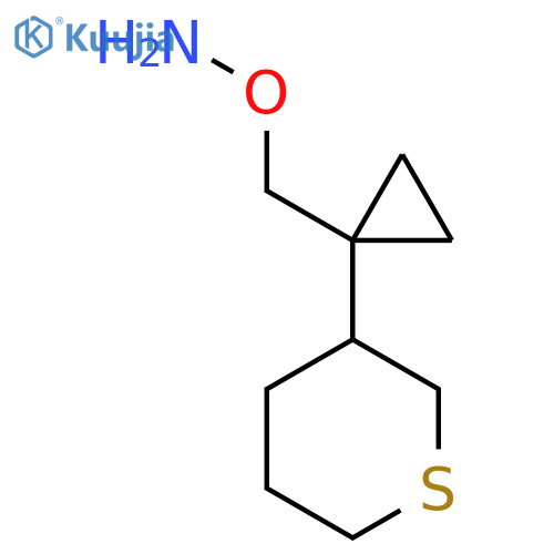 O-{1-(thian-3-yl)cyclopropylmethyl}hydroxylamine structure