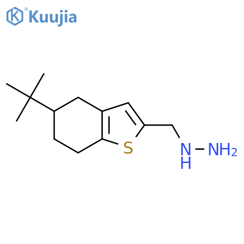 (5-tert-butyl-4,5,6,7-tetrahydro-1-benzothiophen-2-yl)methylhydrazine structure