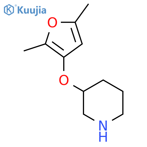 3-(2,5-dimethylfuran-3-yl)oxypiperidine structure