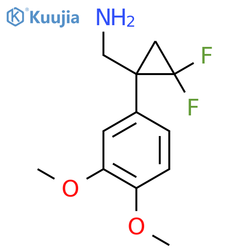 1-(3,4-dimethoxyphenyl)-2,2-difluorocyclopropylmethanamine structure