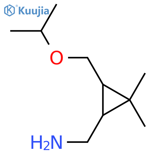 {2,2-dimethyl-3-(propan-2-yloxy)methylcyclopropyl}methanamine structure