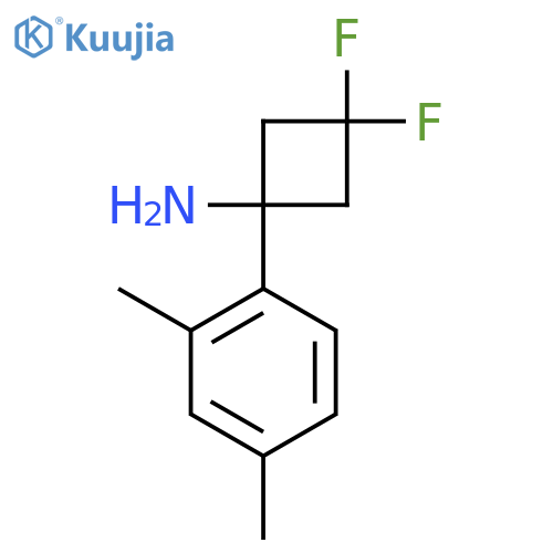 1-(2,4-dimethylphenyl)-3,3-difluorocyclobutan-1-amine structure
