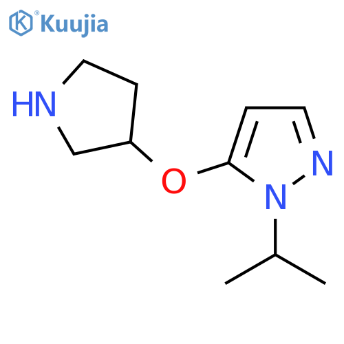 1-(propan-2-yl)-5-(pyrrolidin-3-yloxy)-1H-pyrazole structure