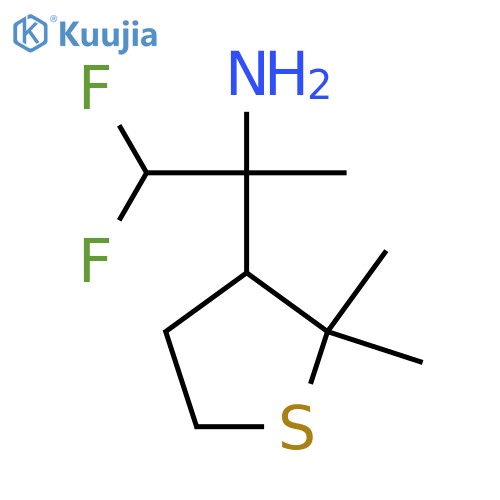 2-(2,2-dimethylthiolan-3-yl)-1,1-difluoropropan-2-amine structure