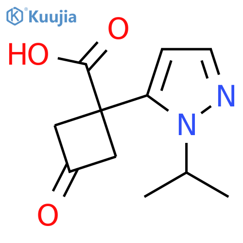 3-oxo-1-1-(propan-2-yl)-1H-pyrazol-5-ylcyclobutane-1-carboxylic acid structure