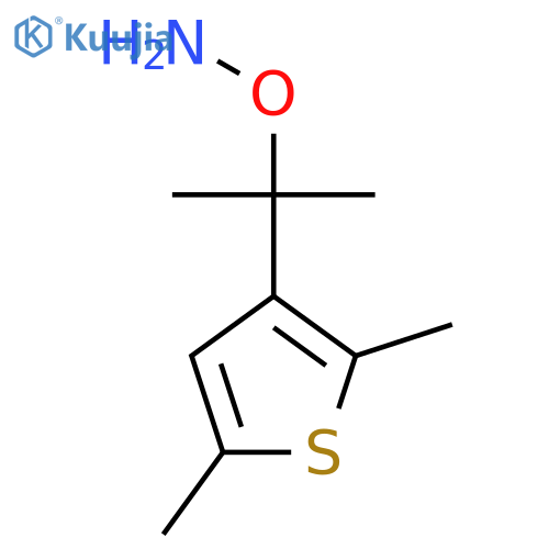 O-2-(2,5-dimethylthiophen-3-yl)propan-2-ylhydroxylamine structure