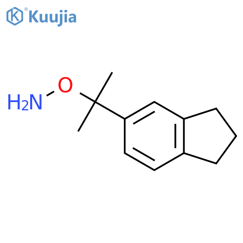 O-2-(2,3-dihydro-1H-inden-5-yl)propan-2-ylhydroxylamine structure
