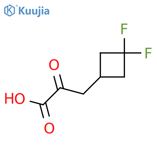 3-(3,3-difluorocyclobutyl)-2-oxopropanoic acid structure