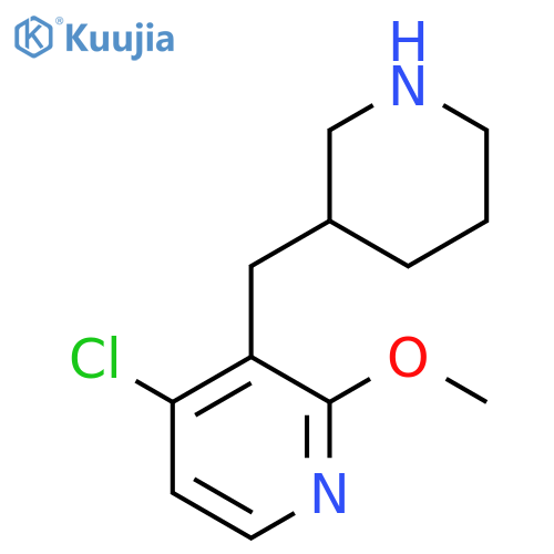 4-chloro-2-methoxy-3-(piperidin-3-yl)methylpyridine structure