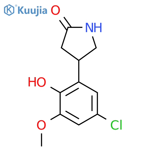 4-(5-chloro-2-hydroxy-3-methoxyphenyl)pyrrolidin-2-one structure