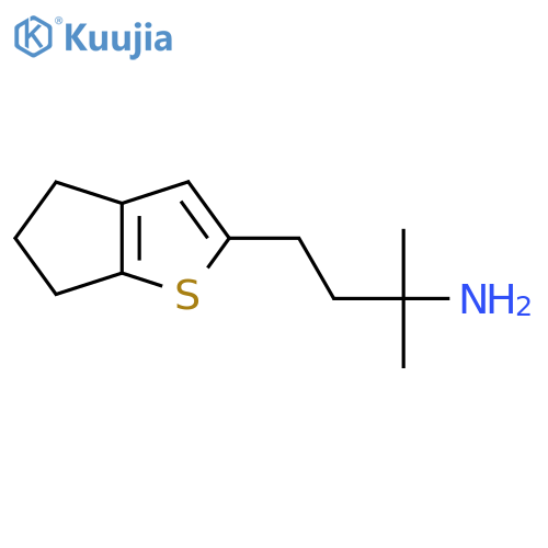 4-{4H,5H,6H-cyclopentabthiophen-2-yl}-2-methylbutan-2-amine structure