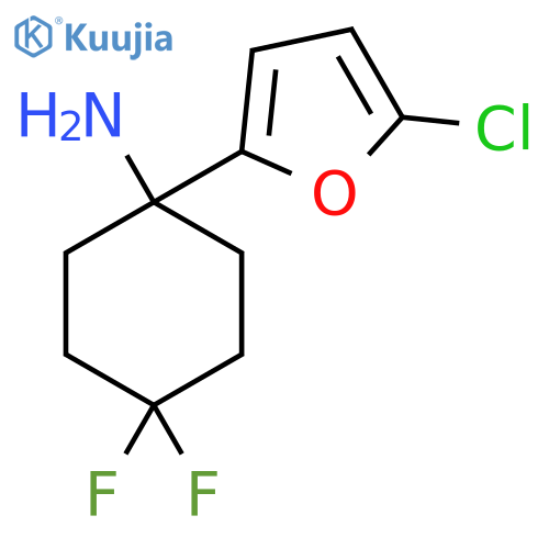 1-(5-chlorofuran-2-yl)-4,4-difluorocyclohexan-1-amine structure