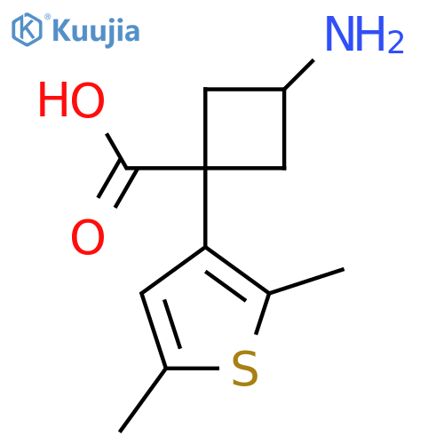 3-Amino-1-(2,5-dimethylthiophen-3-yl)cyclobutane-1-carboxylic acid structure