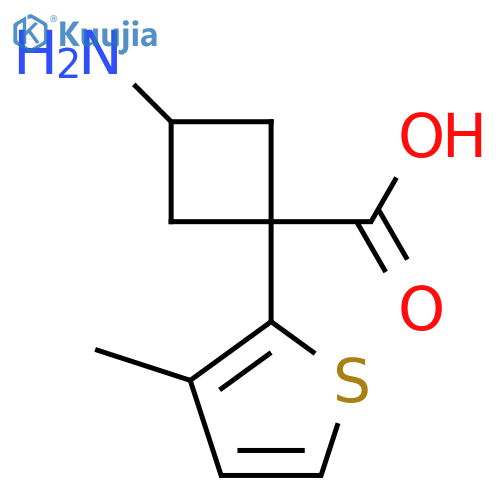 3-amino-1-(3-methylthiophen-2-yl)cyclobutane-1-carboxylic acid structure