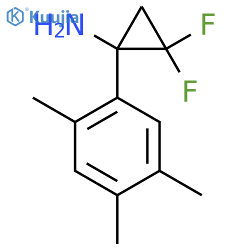 2,2-difluoro-1-(2,4,5-trimethylphenyl)cyclopropan-1-amine structure