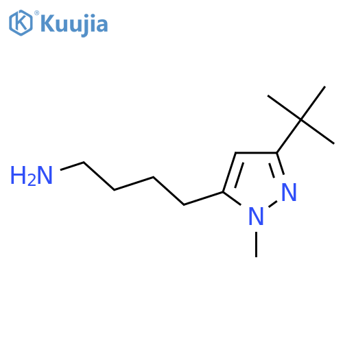 4-(3-tert-butyl-1-methyl-1H-pyrazol-5-yl)butan-1-amine structure