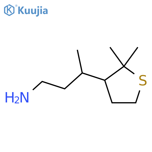 3-(2,2-dimethylthiolan-3-yl)butan-1-amine structure