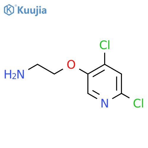 2-(4,6-dichloropyridin-3-yl)oxyethan-1-amine structure