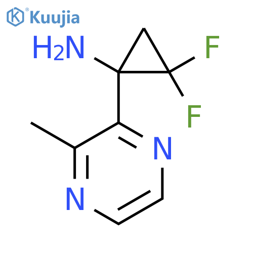 2,2-difluoro-1-(3-methylpyrazin-2-yl)cyclopropan-1-amine structure